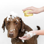 Escova Shampoo e Massageadora - Smart PET - Imagem 4
